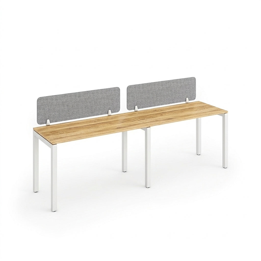 Side-by-Side Workstation for Two Person – ZS-WS-SB2P-POINT