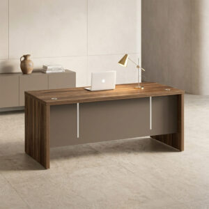 ZS-DG17-D01 Straight Executive Desk