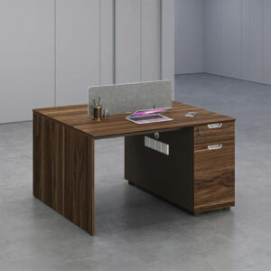 DG19-D06 Two-Seater Workstation