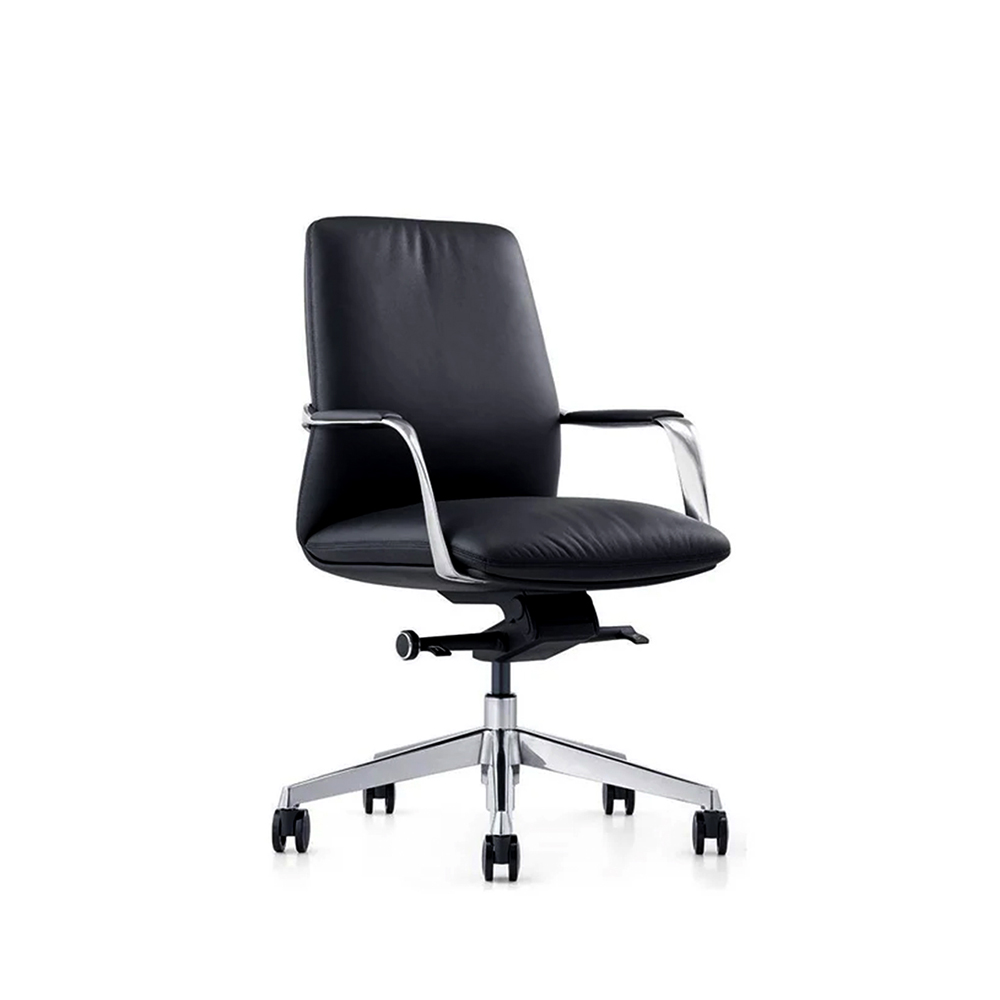 ZS-B2216 Medium Back Executive Leather Chair