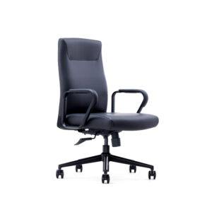 ZS-B2461 Medium Back Executive Leather Chair