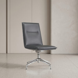 ZS-1819-M Medium Back Executive Leather Chair