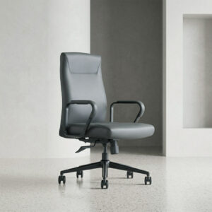 ZS-2461-M Medium Back Executive Leather Chair