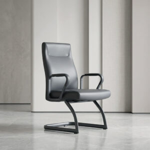ZS-2461-V Visitor Executive Leather Chair