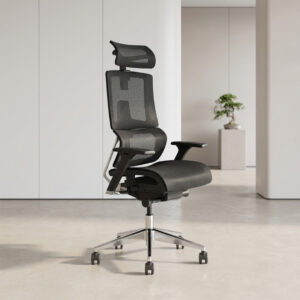 ZS-X6 High Back Premium Ergonomic Cahir