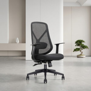 ZS-6243-M medium back mesh office chair with adjustable lumbar support and ergonomic design in Dubai